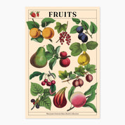 Museums Victoria Rare Books Postcards
