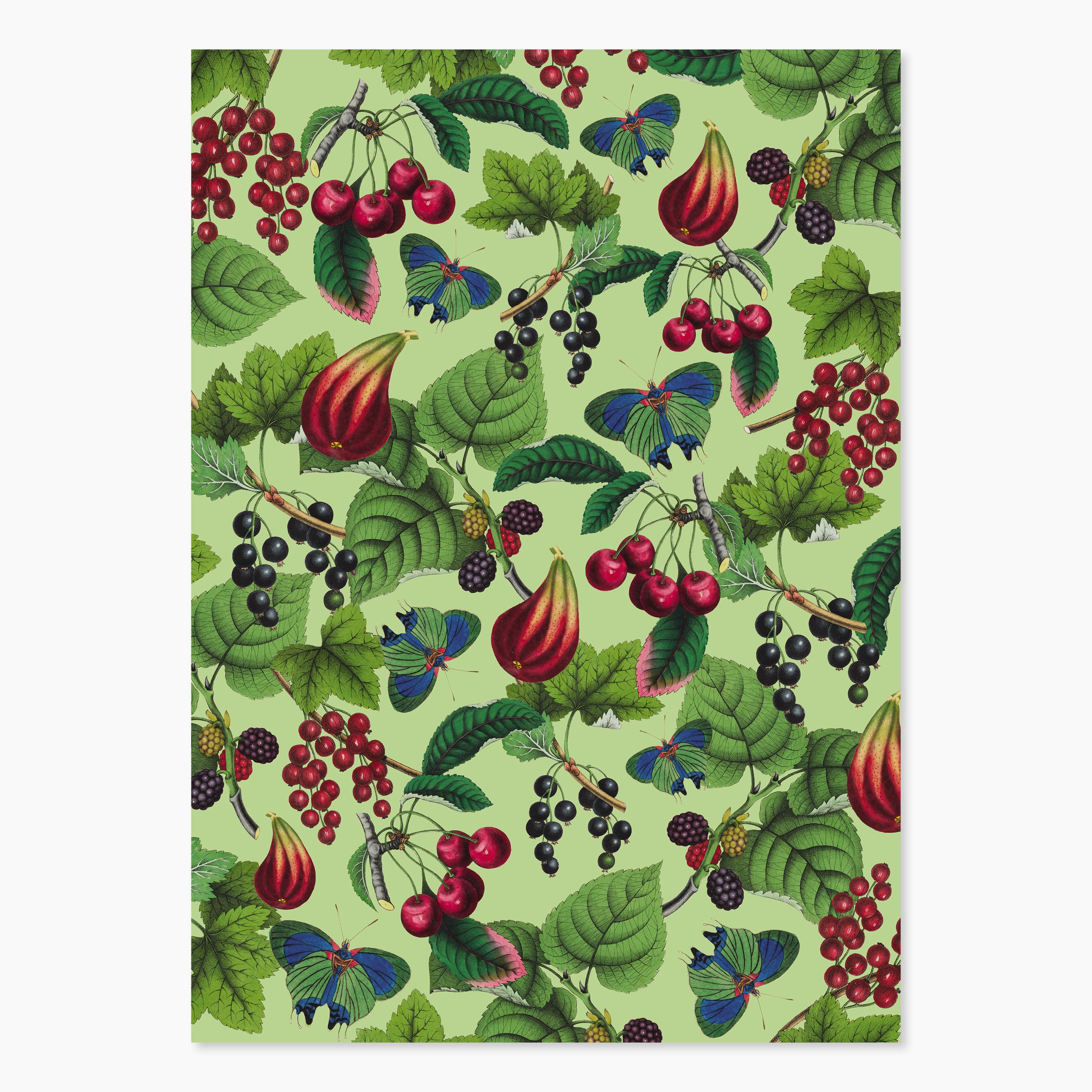 Museum Exclusive Rare Book Gift Wrap