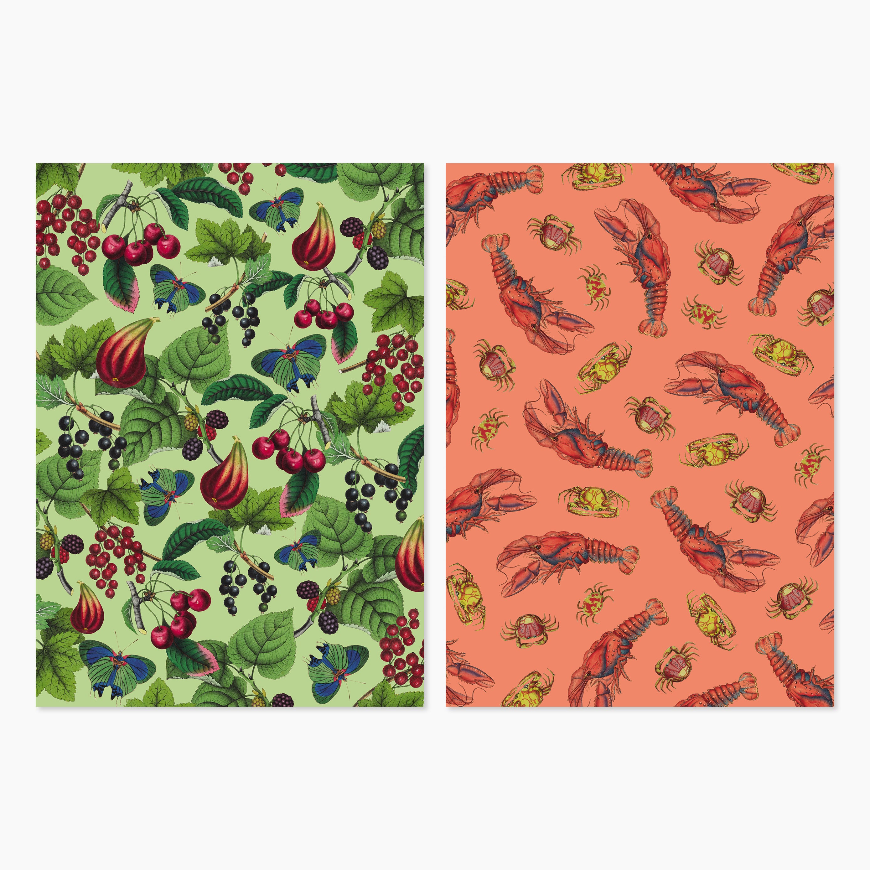 Museum Exclusive Rare Book Gift Wrap