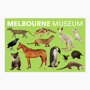 Melbourne Museums Specimen Postcards