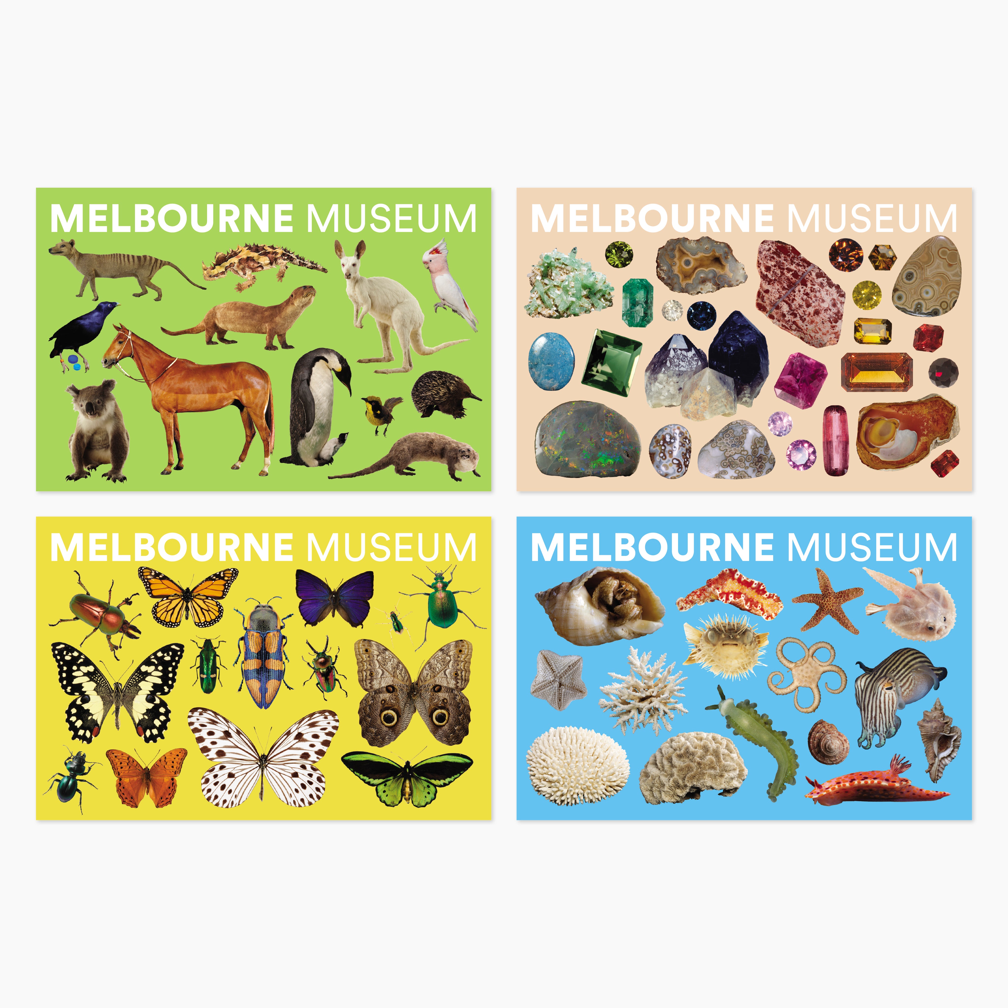 Melbourne Museums Specimen Postcards