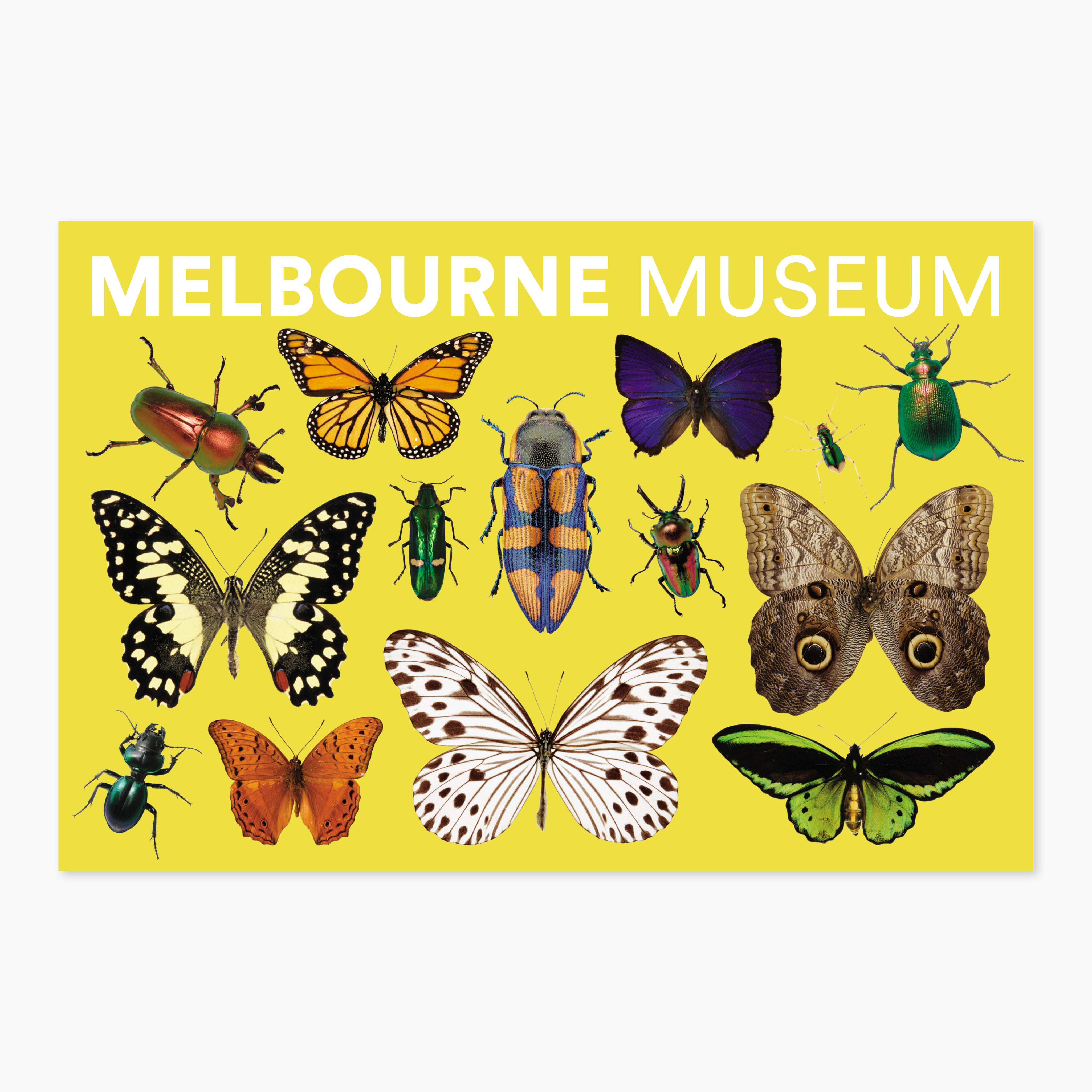Melbourne Museums Specimen Postcards