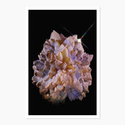 Melbourne Museums Gemstone Postcards