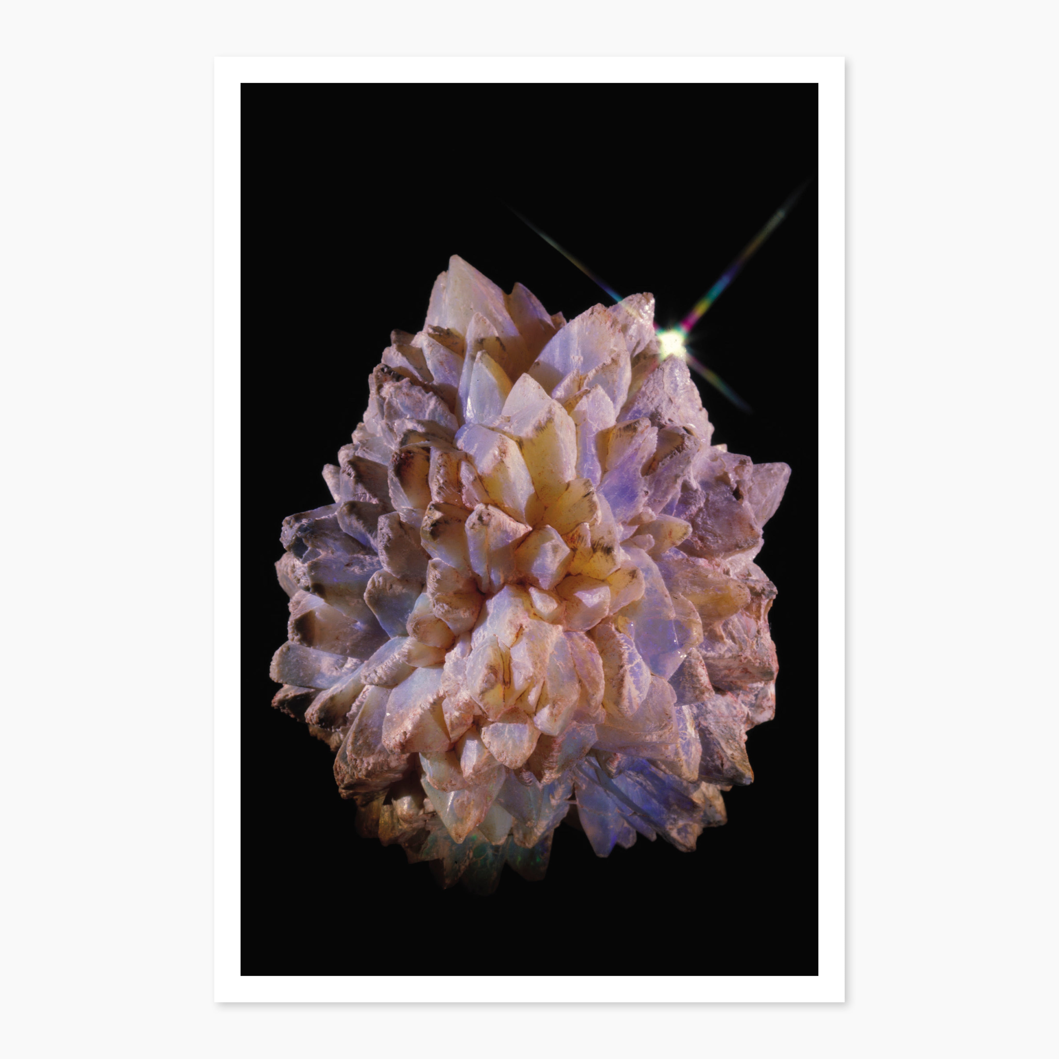 Melbourne Museums Gemstone Postcards