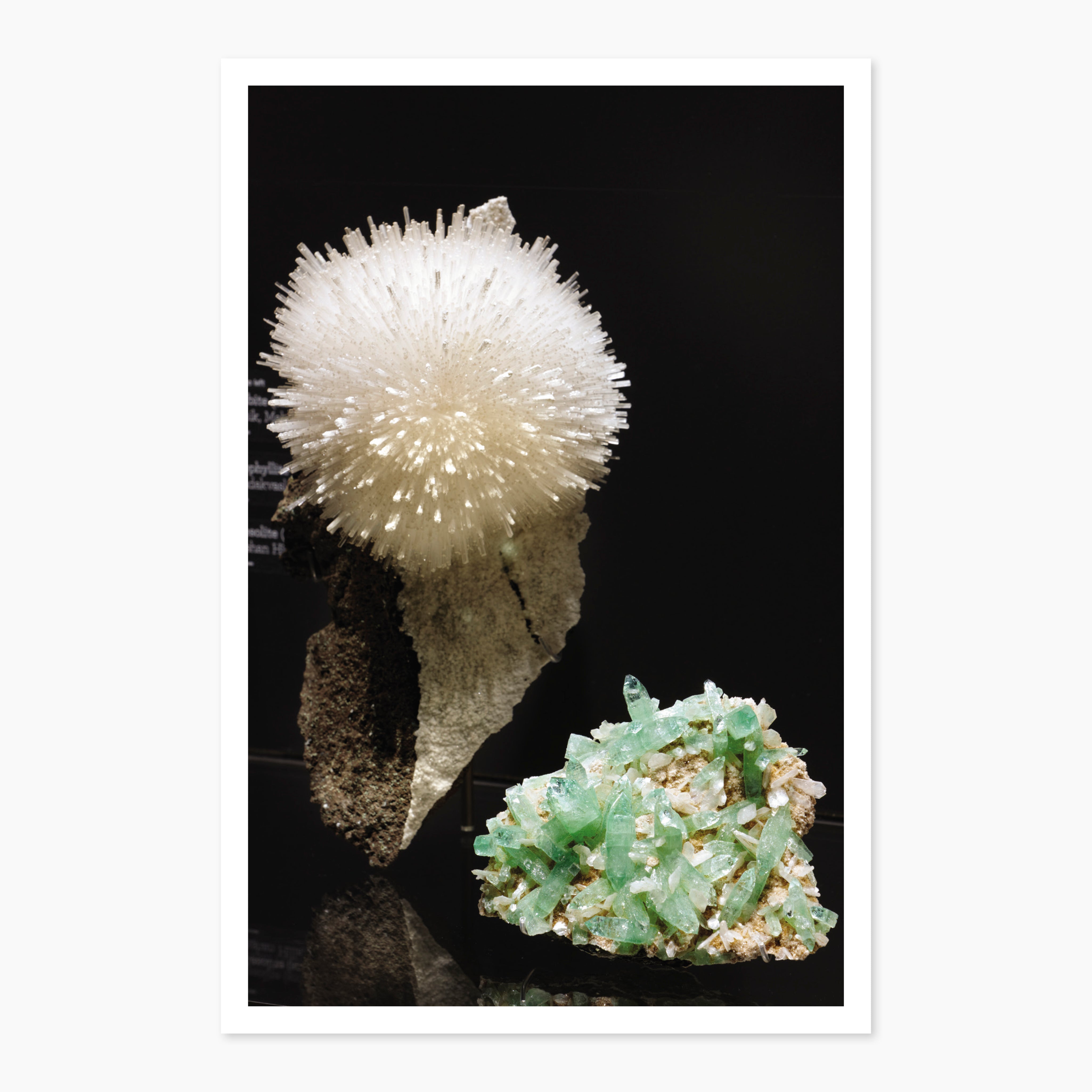 Melbourne Museums Gemstone Postcards