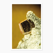 Melbourne Museums Gemstone Postcards