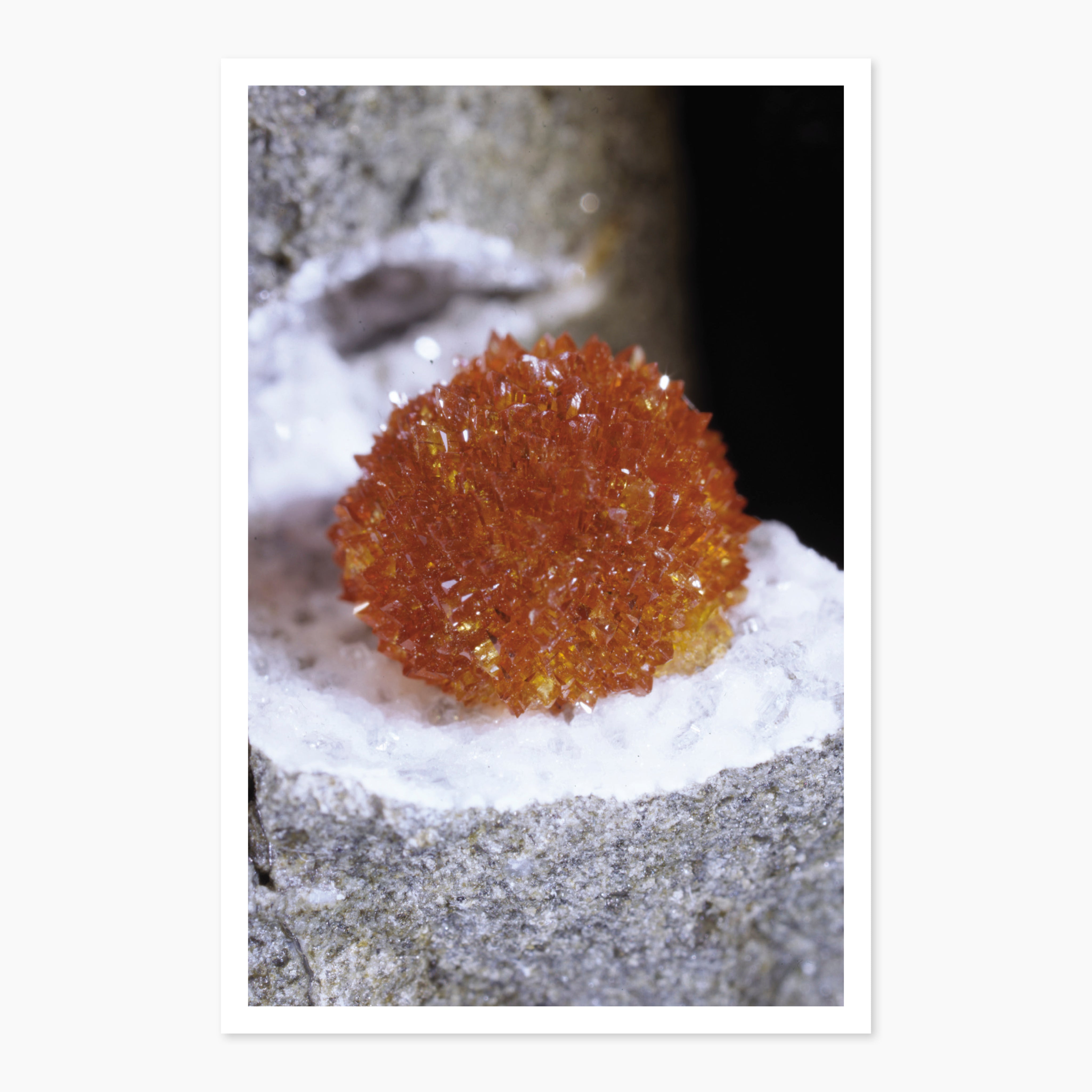 Melbourne Museums Gemstone Postcards