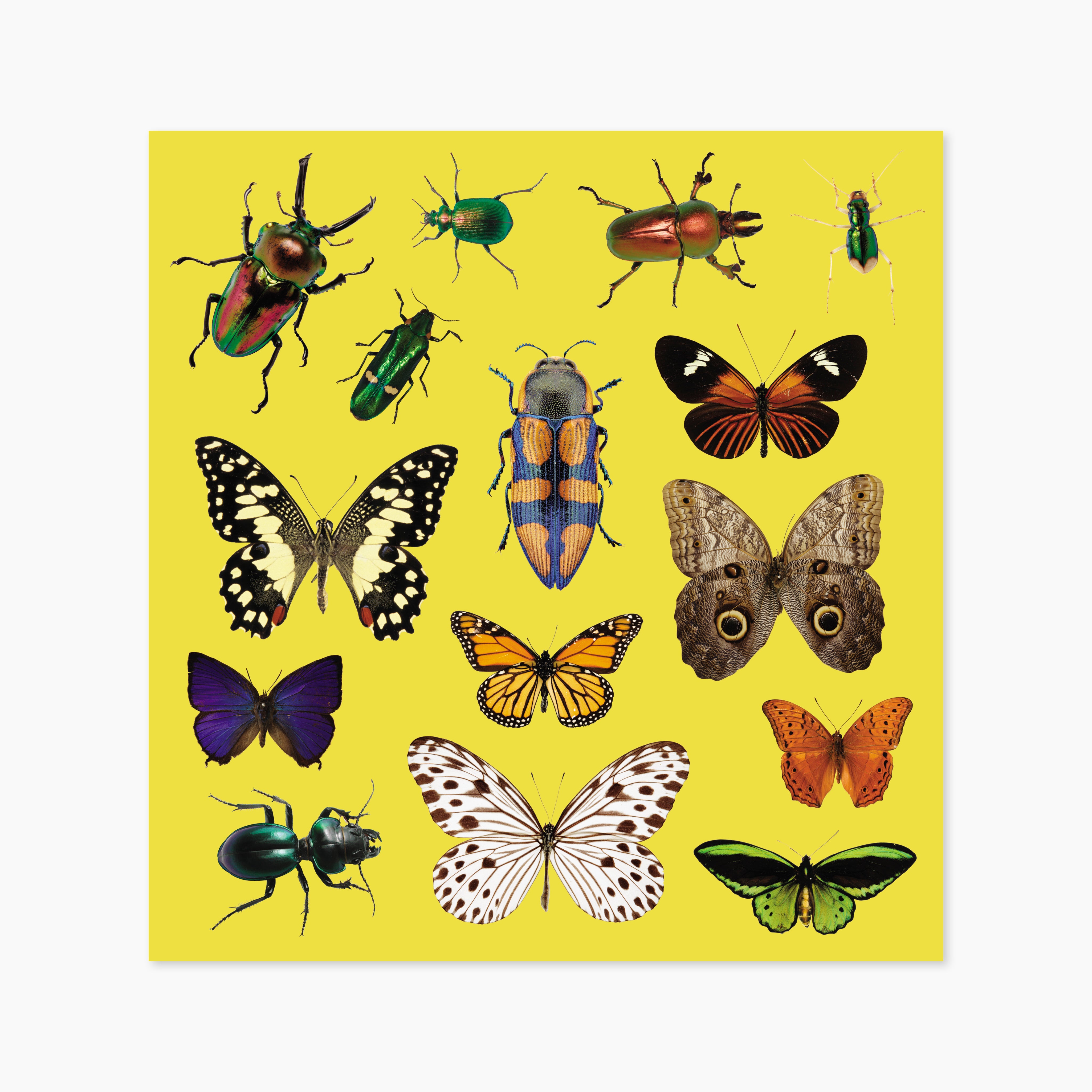 Museum Icons & Objects Sticker Set