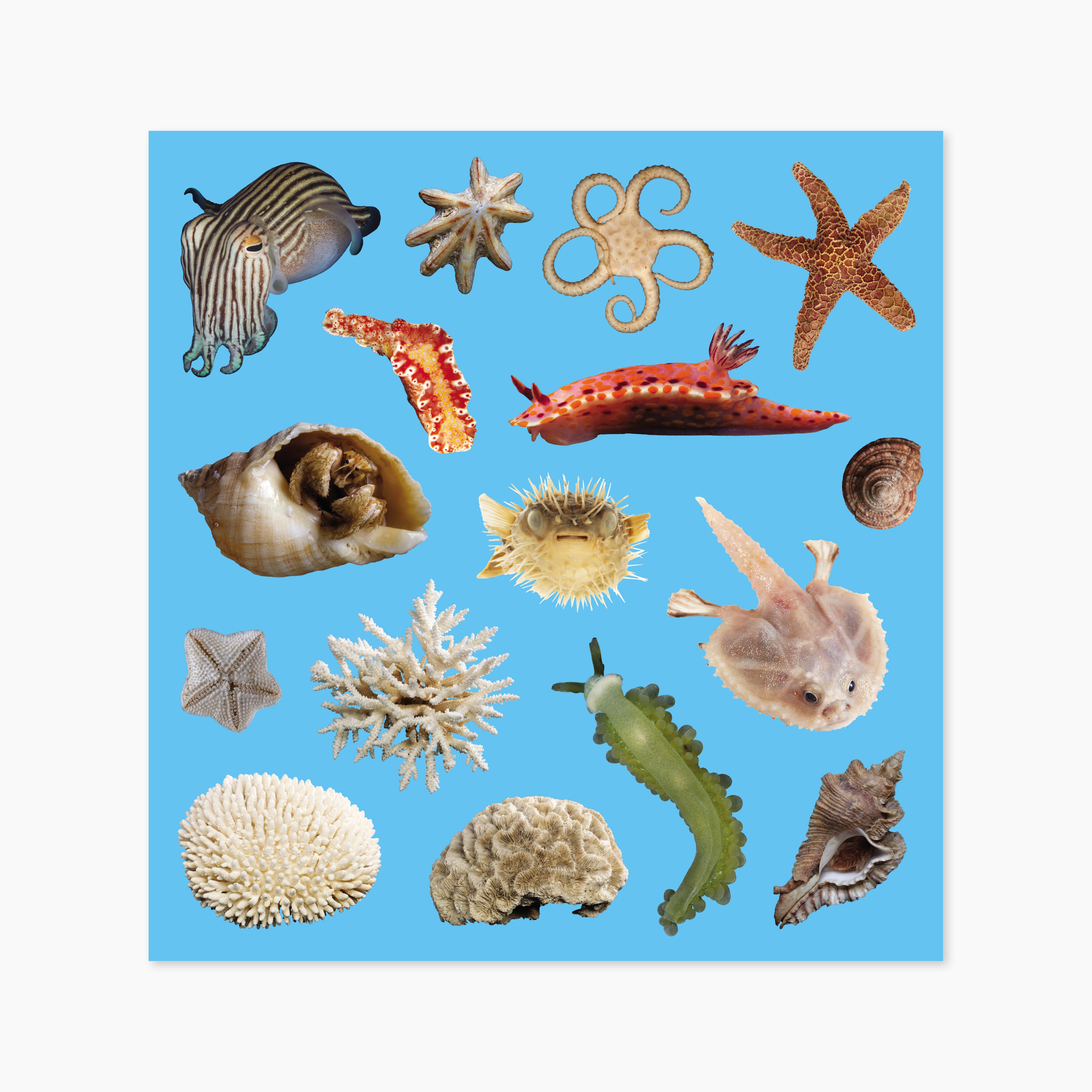 Museum Icons & Objects Sticker Set