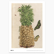 Insects with Pineapple Print - A2