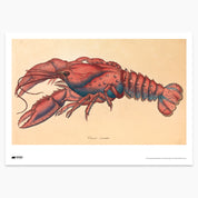 Red Lobster Print - A2
