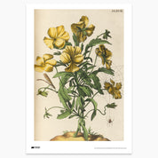 Yellow Flowers with Insects Print - A2