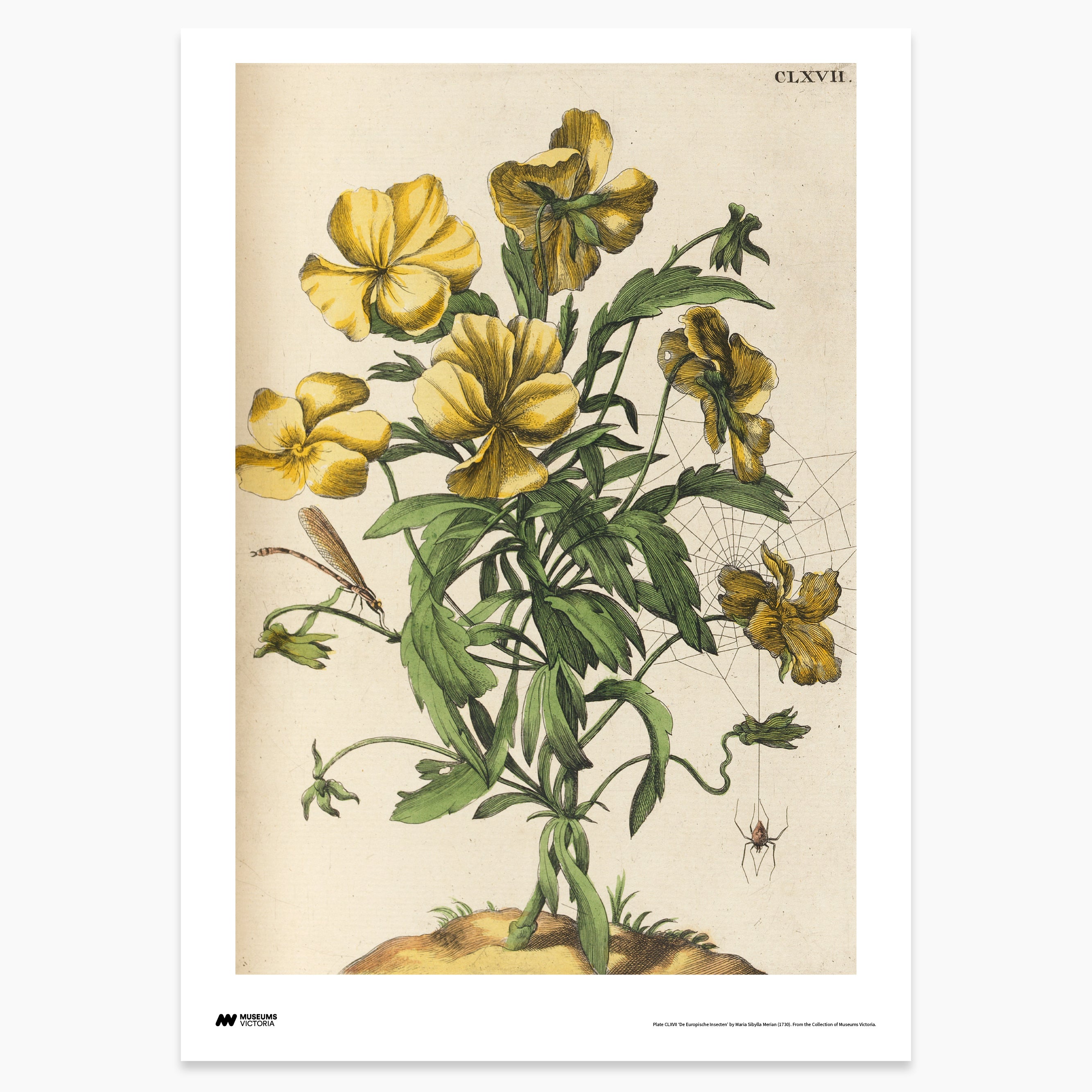 Yellow Flowers with Insects Print - A2