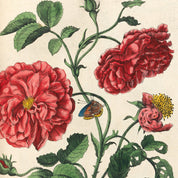 Pink Flowers with Butterfly Print - A2
