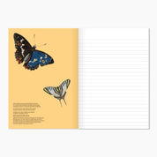 Museums Victoria Rare Book Softcover Notebook