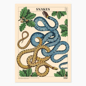 Museum Victoria Rare Book Posters