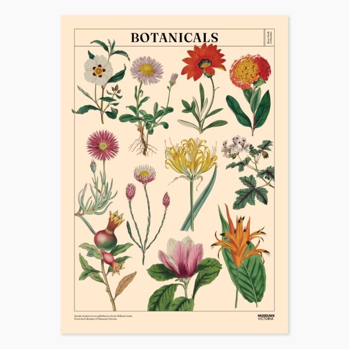Museum Victoria Rare Book Posters