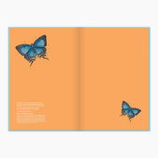 Museums Victoria Rare Book Hardcover Notebook