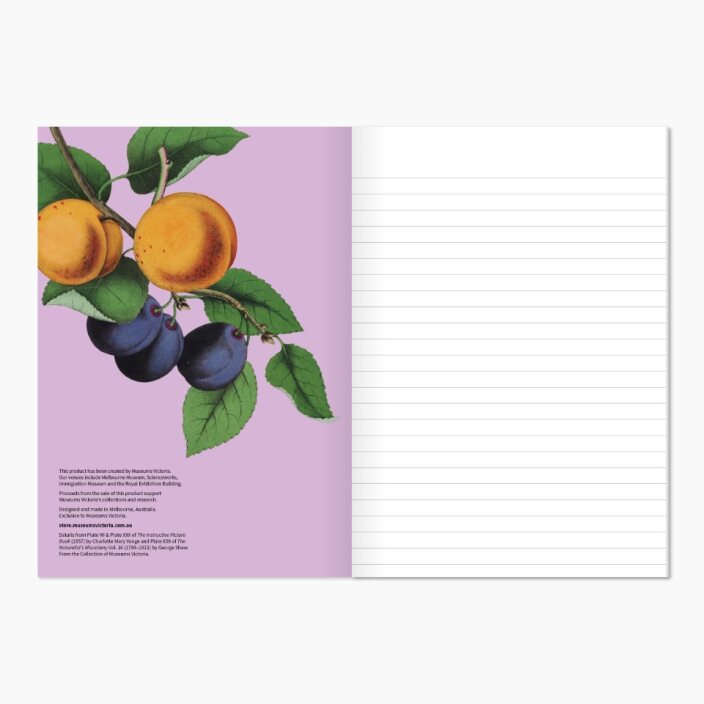 Museums Victoria Rare Book Softcover Notebook