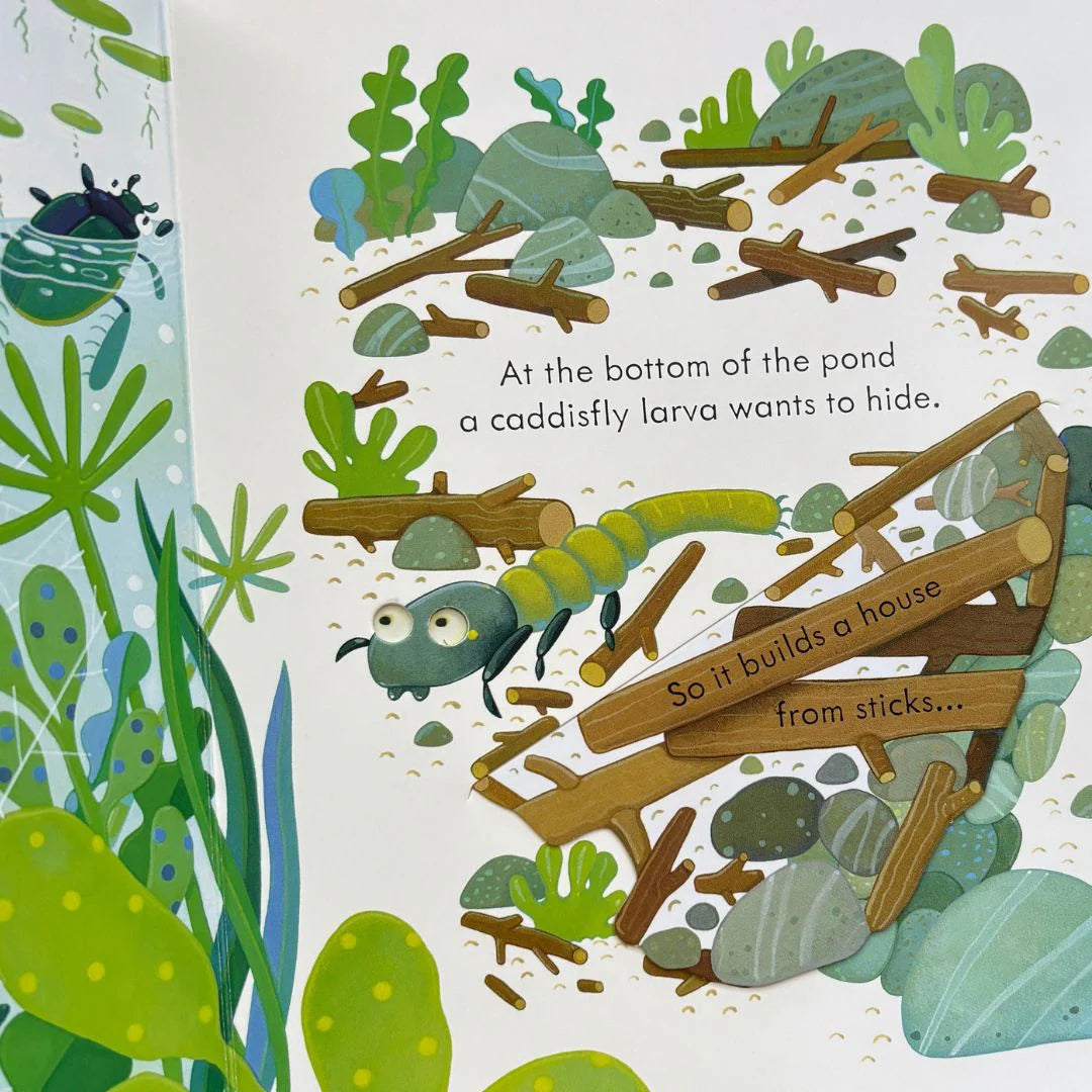 Peep Inside: Bug Homes