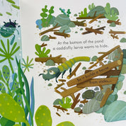 Peep Inside: Bug Homes
