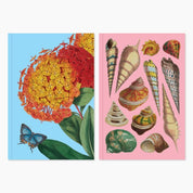 Museums Victoria Rare Book Hardcover Notebook