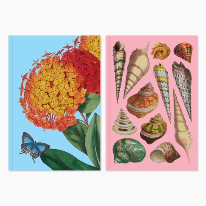 Museums Victoria Rare Book Hardcover Notebook