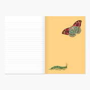 Museums Victoria Rare Book Softcover Notebook
