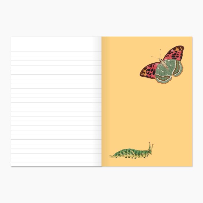 Museums Victoria Rare Book Softcover Notebook