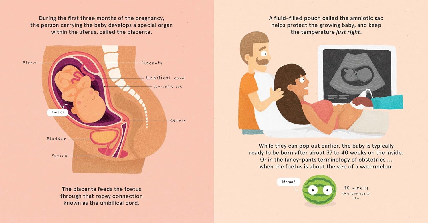 How Babies are Made.