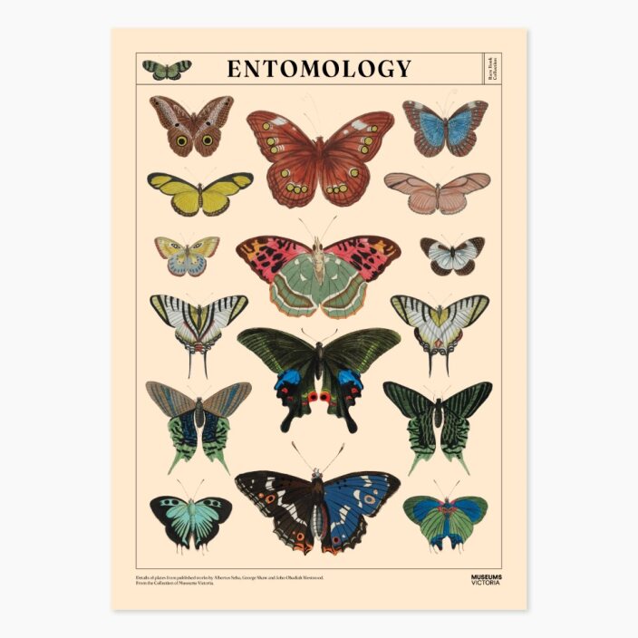 Museum Victoria Rare Book Posters