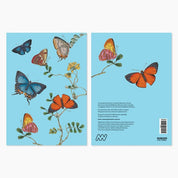 Museums Victoria Rare Book Greeting Cards