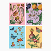 Museums Victoria Rare Book Greeting Cards