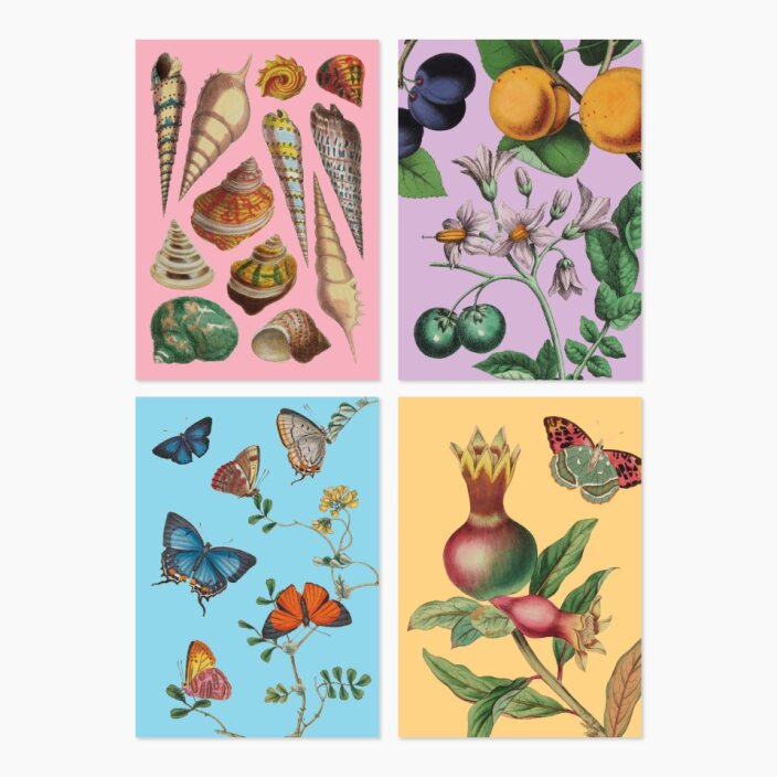 Museums Victoria Rare Book Greeting Cards