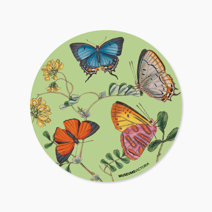 Museums Victoria Rare Book Single Coasters