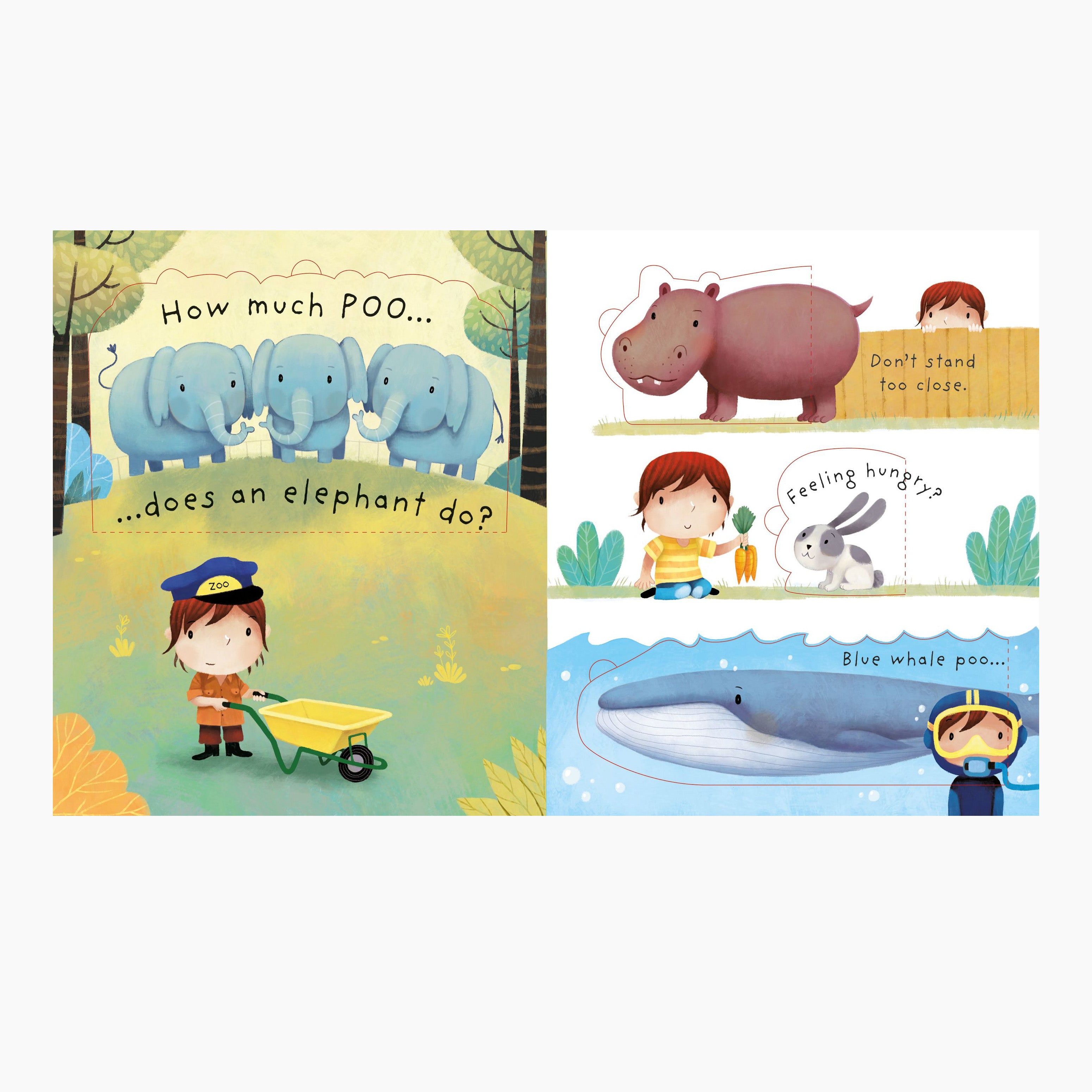 Very First Questions and Answers: What is poo?