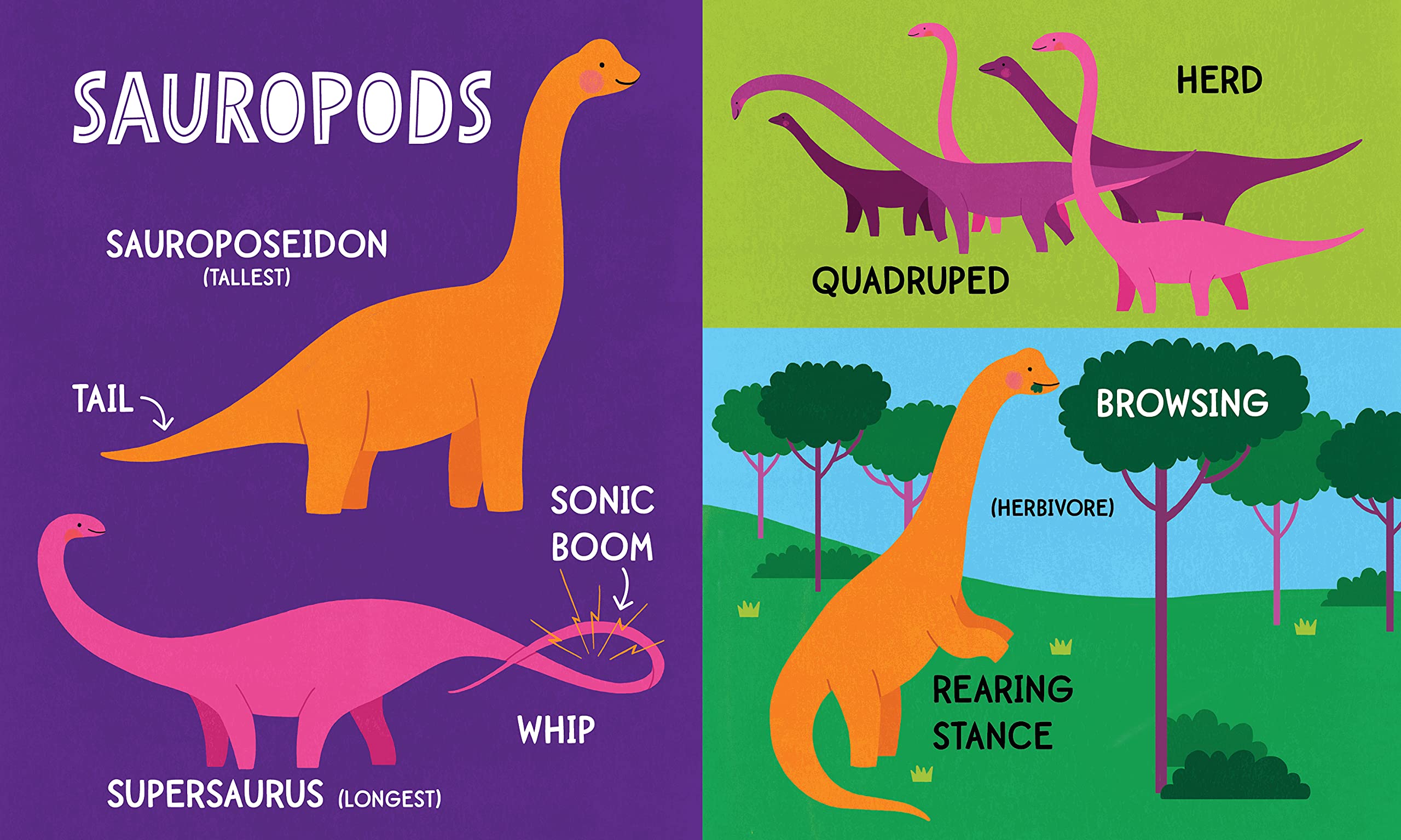 My First 100 Dinosaur Words