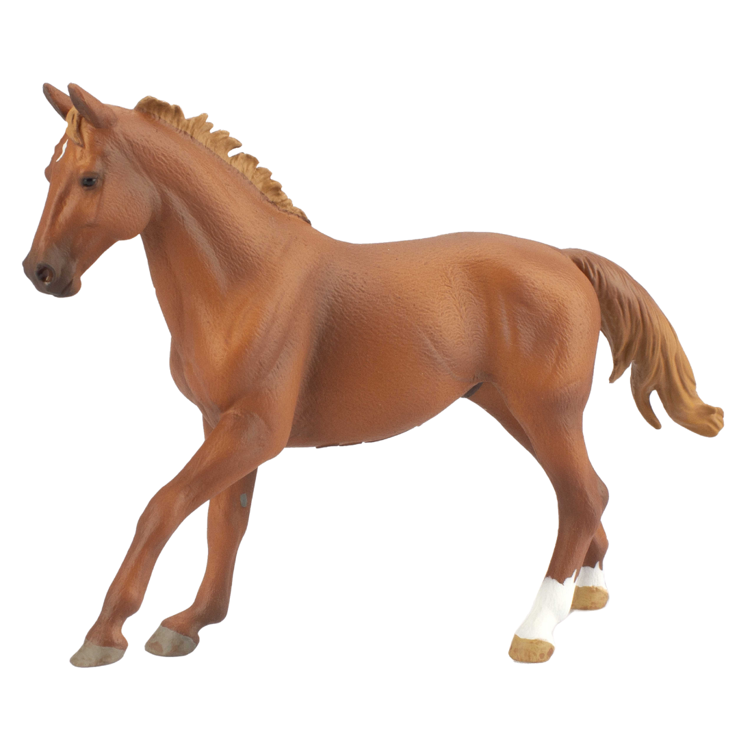 Phar Lap Replica