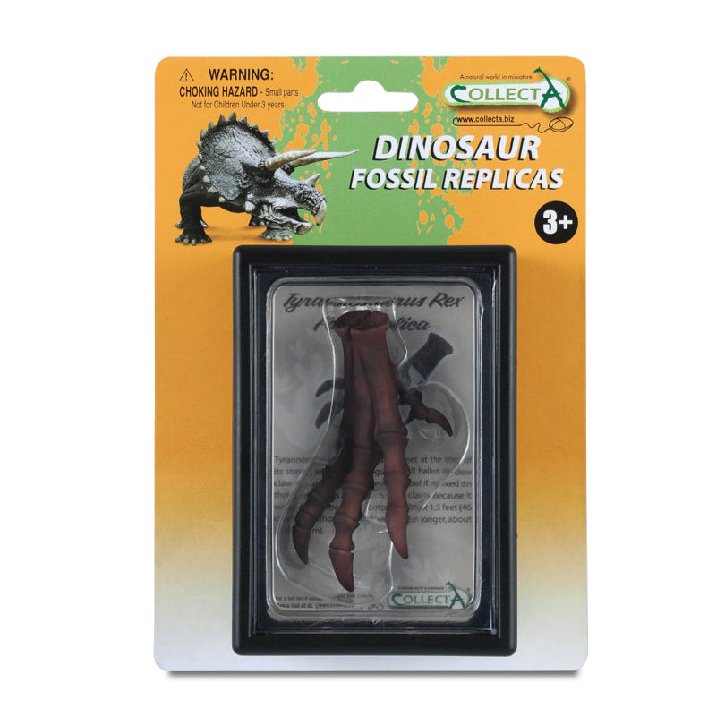 T.Rex Foot Replica (WDB)