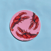 Museums Victoria Rare Book Single Coasters