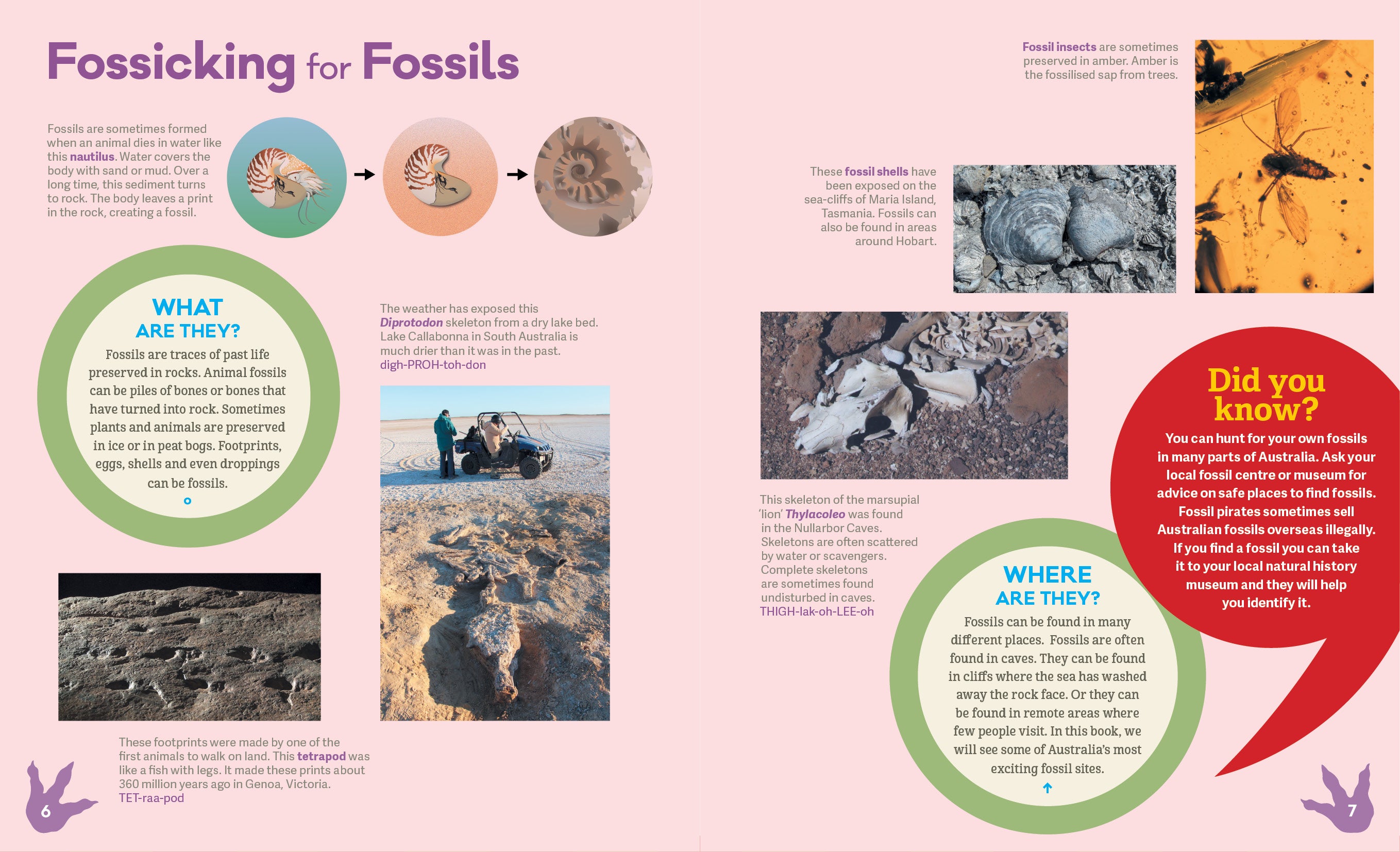 From Dinosaurs to Diprotodons