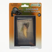 T. Rex Tooth (WDB)