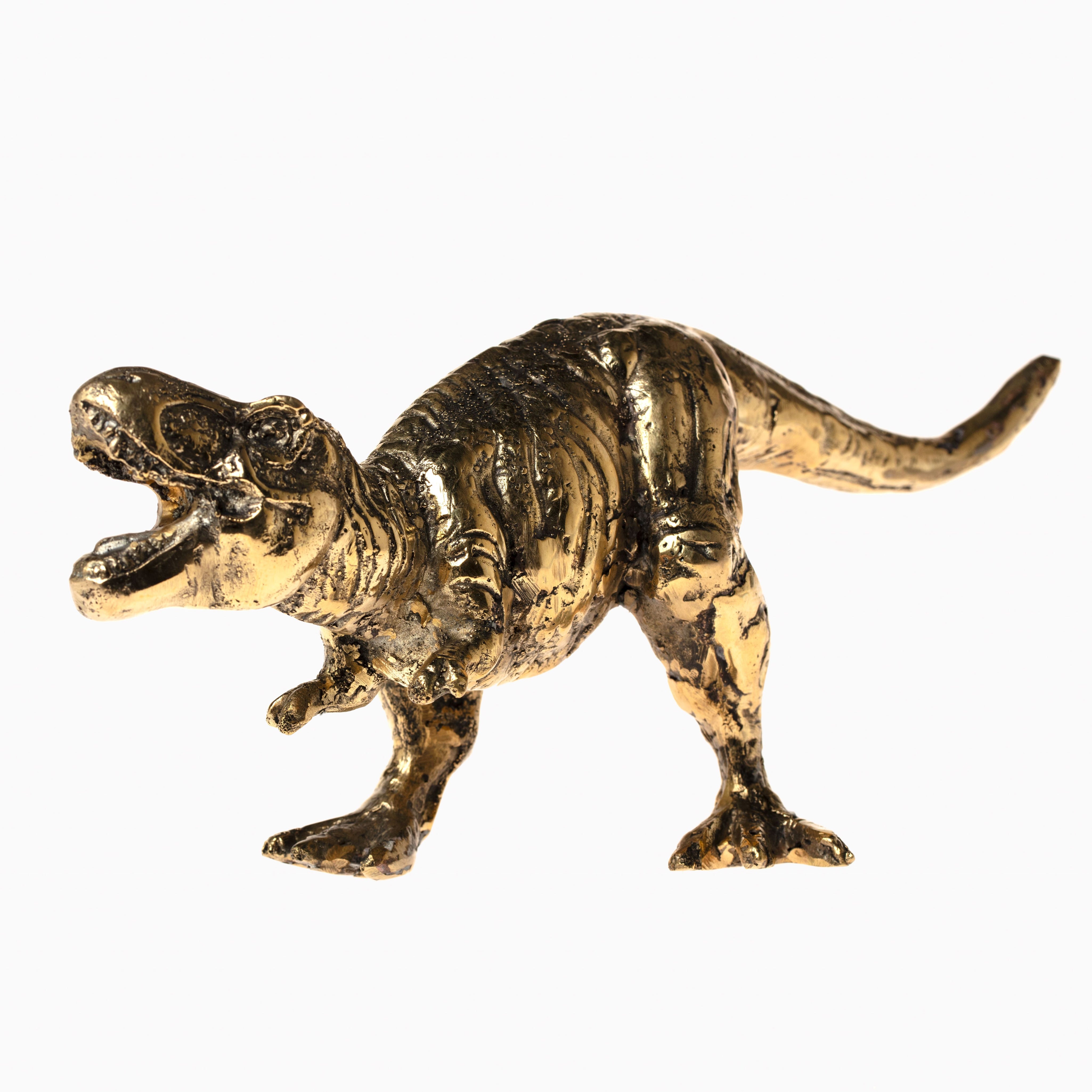 HD246806-A-Bronze_TRex-009-co_1_M.jpg