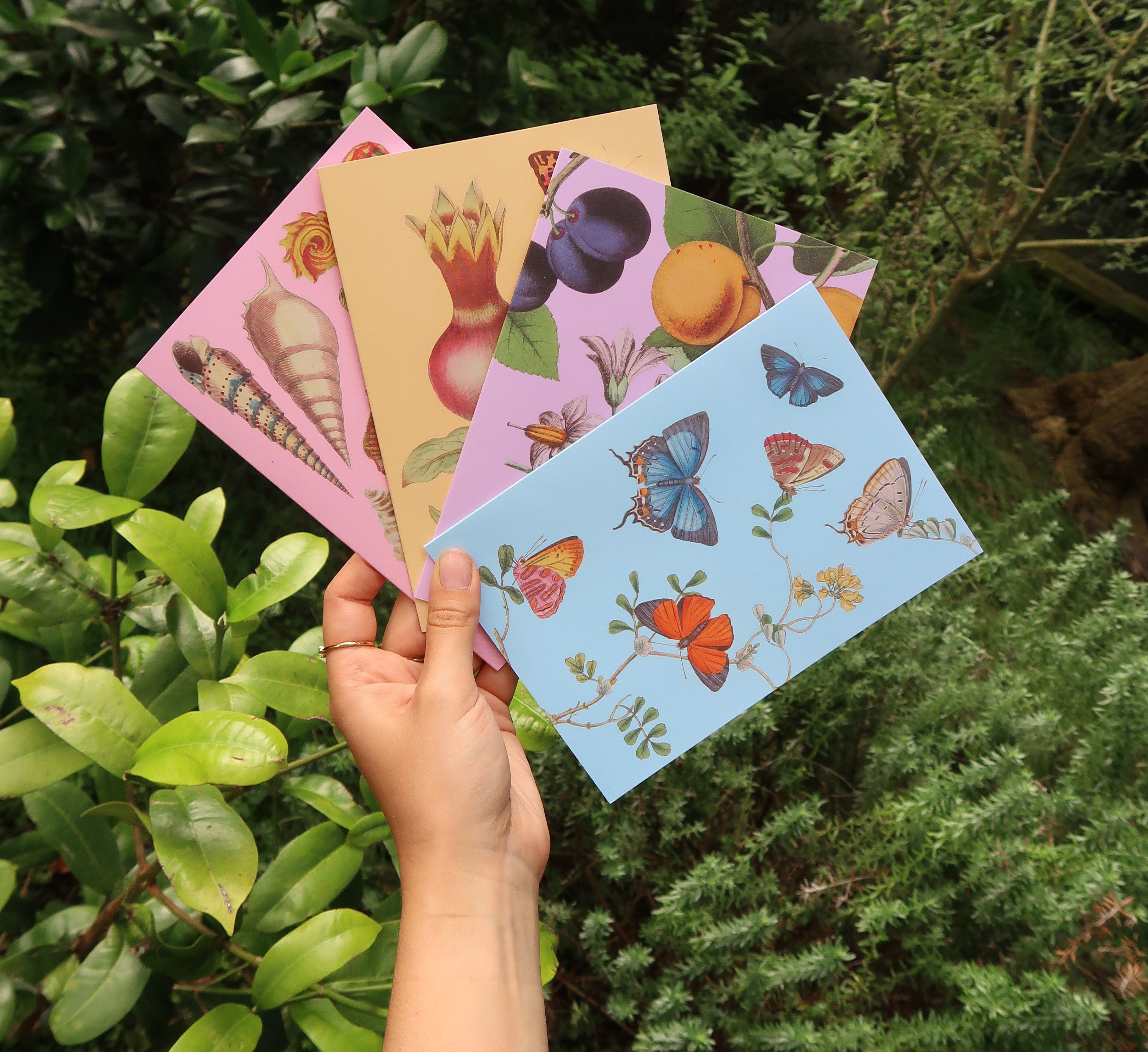 Museums Victoria Rare Book Greeting Cards