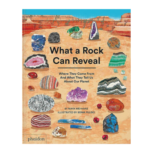 What a Rock can Reveal