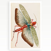 Melbourne Museum Rare Book Postcard