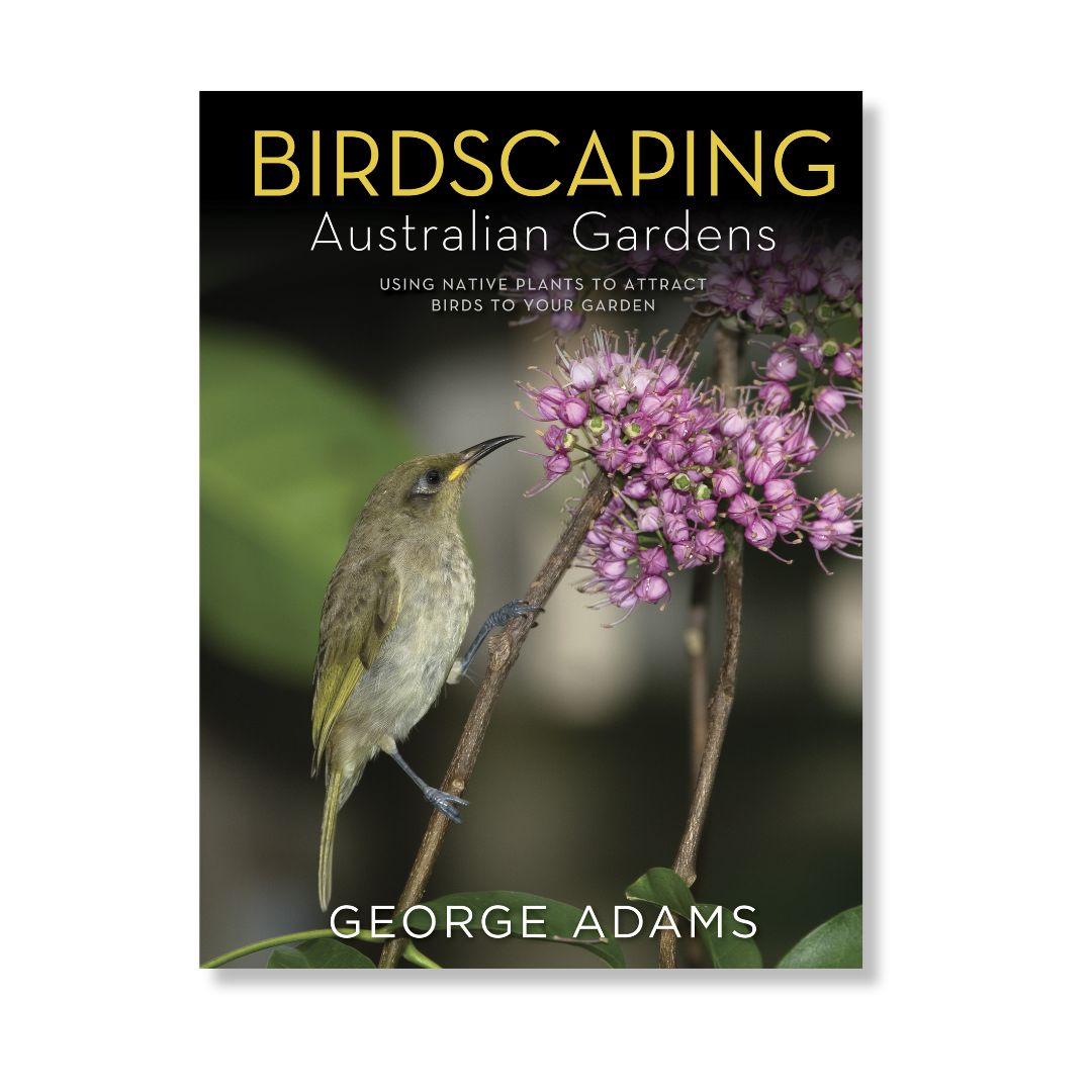 Birdscaping Australian Gardens