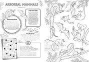 Friends of the Museum: A Melbourne Museum Colouring Book