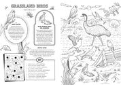Friends of the Museum: A Melbourne Museum Colouring Book