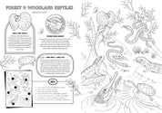 Friends of the Museum: A Melbourne Museum Colouring Book